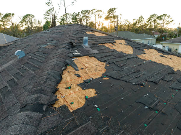 Best Roof Moss and Algae Removal  in Wellsboro, PA